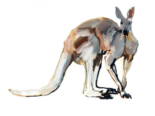 Detail of Roo,, 2012 by Mark Adlington
