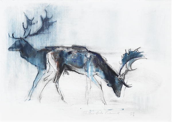 Detail of Fallow Bucks, Richmond, 2006 by Mark Adlington