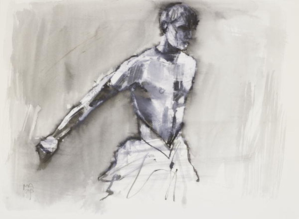 Detail of Swan Lake, 2001 by Mark Adlington