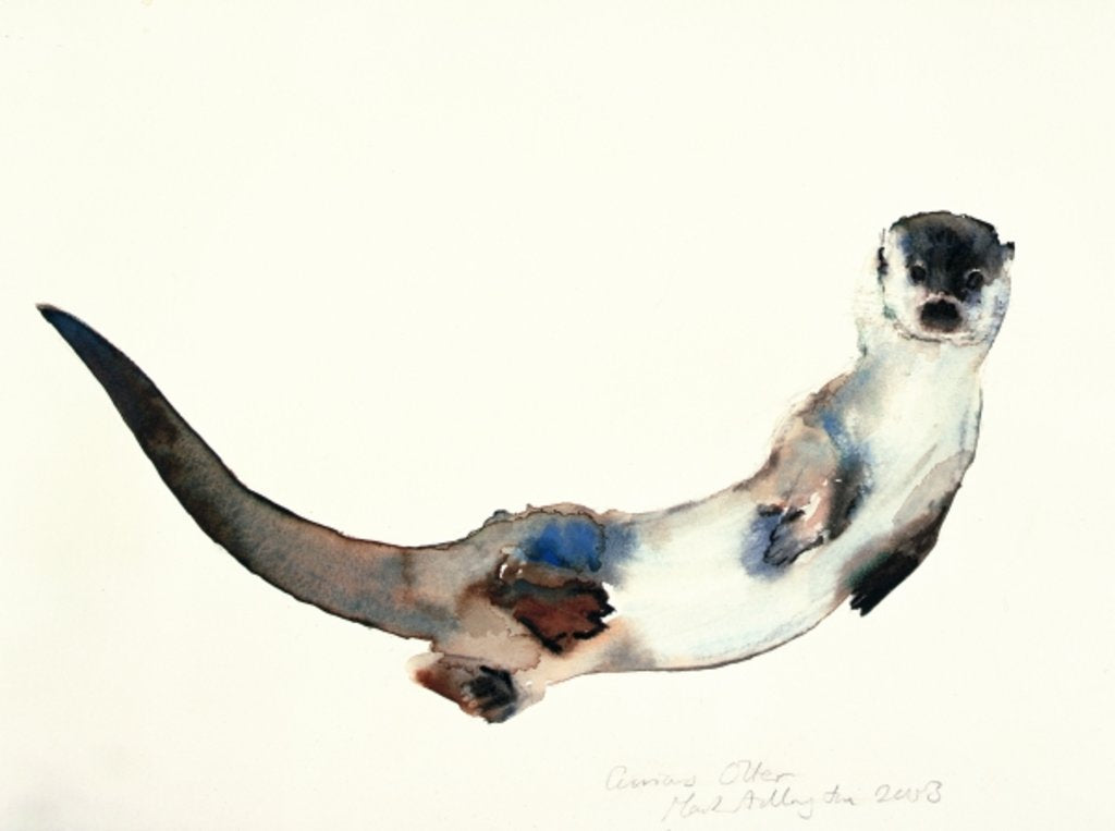 Detail of Curious Otter, 2003 by Mark Adlington