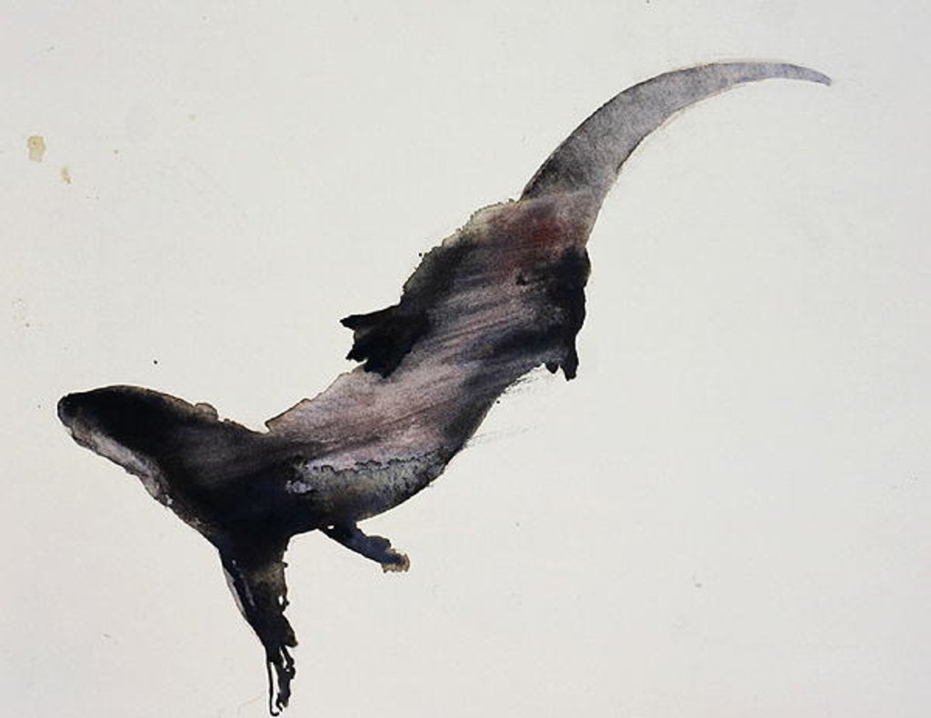 Detail of Slipstream by Mark Adlington