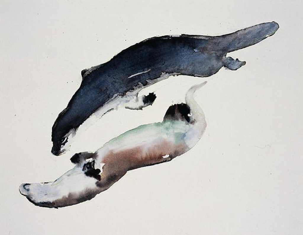 Detail of Yin Yang by Mark Adlington