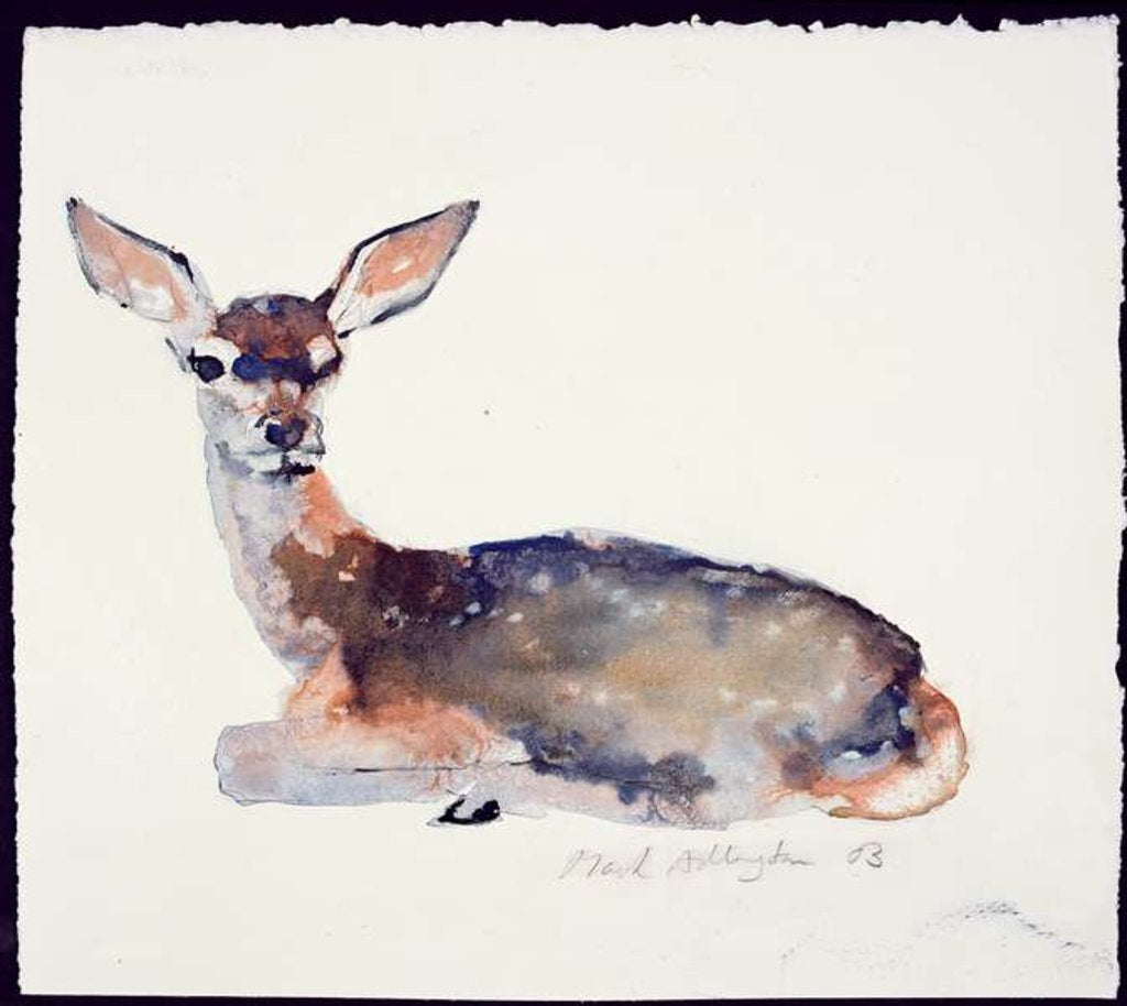 Detail of Fawn, 2003 by Mark Adlington