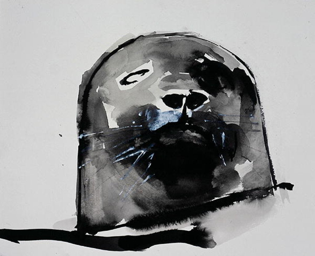 Detail of Harbour seal, West Cove by Mark Adlington