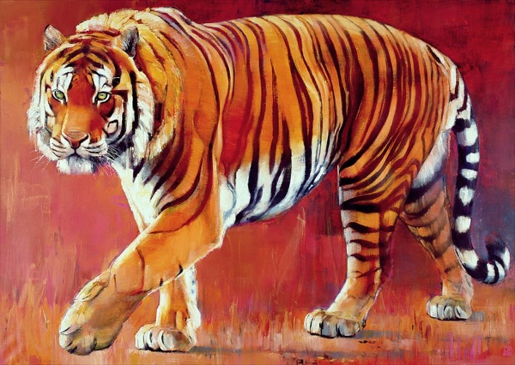 Detail of Bengal Tiger by Mark Adlington