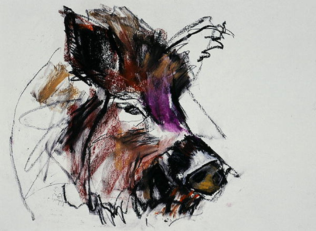 Detail of Dzik, 1990s by Mark Adlington