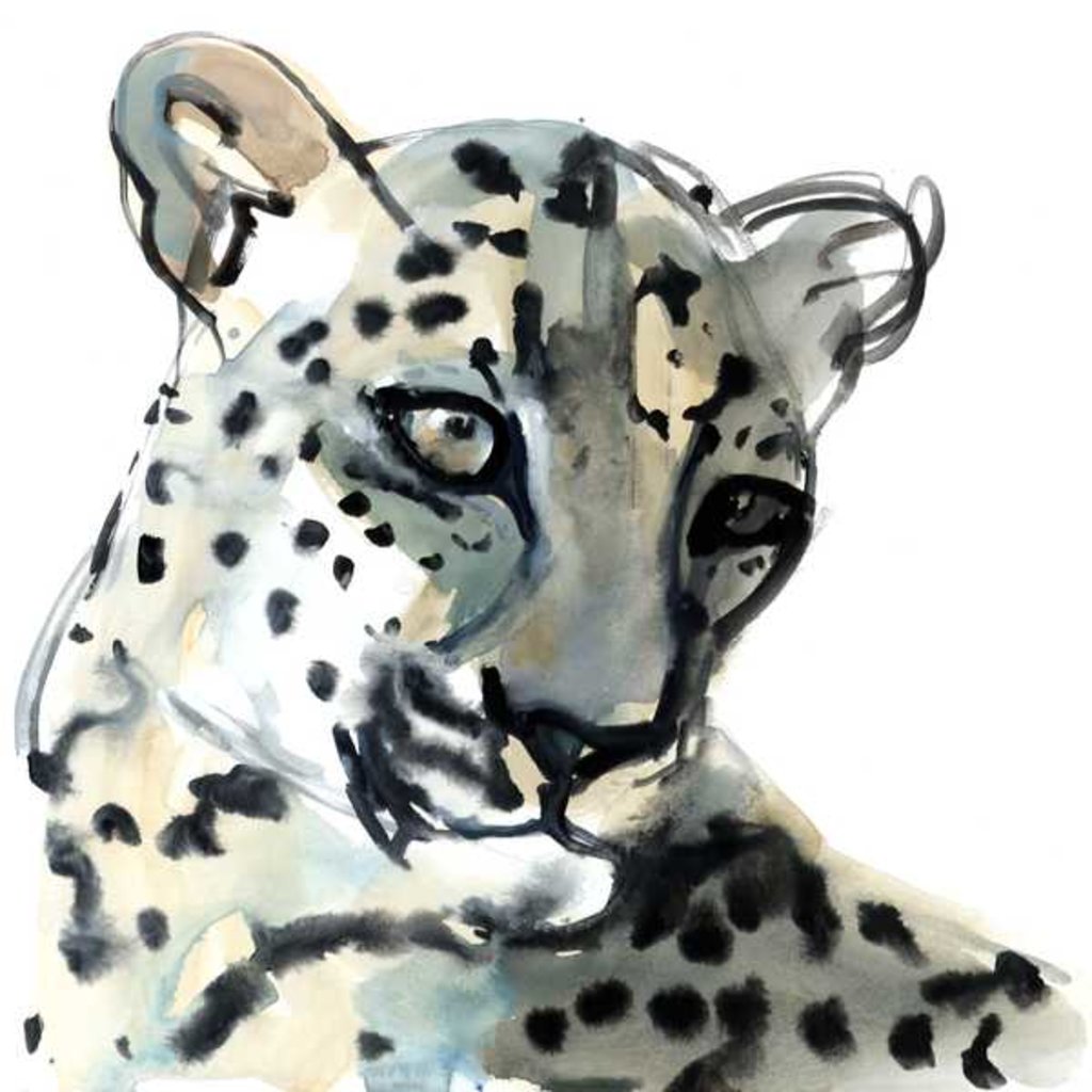 Detail of Persian, 2015 by Mark Adlington