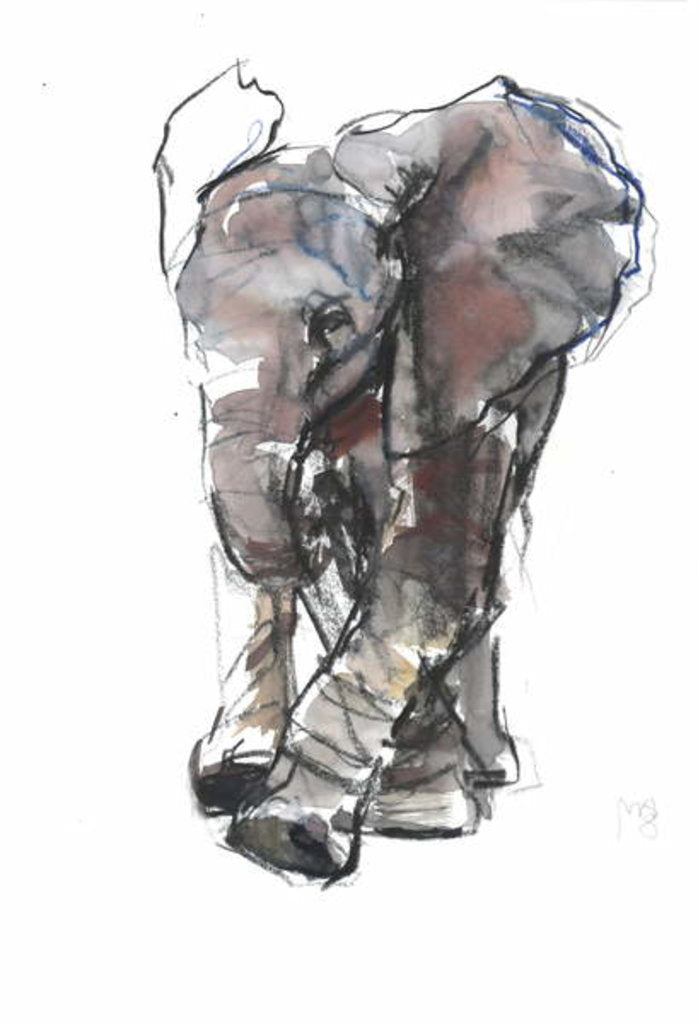 Detail of Baby Elephant Study, 2018 by Mark Adlington