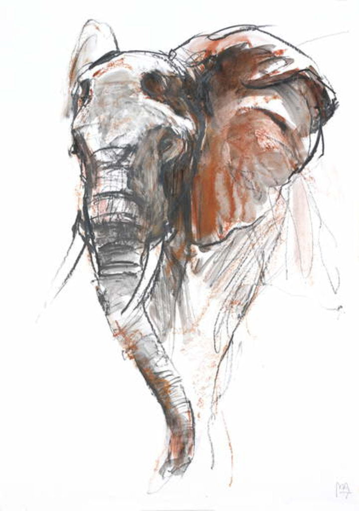 Detail of Beautiful Female Elephant, Loisaba, 2018 by Mark Adlington
