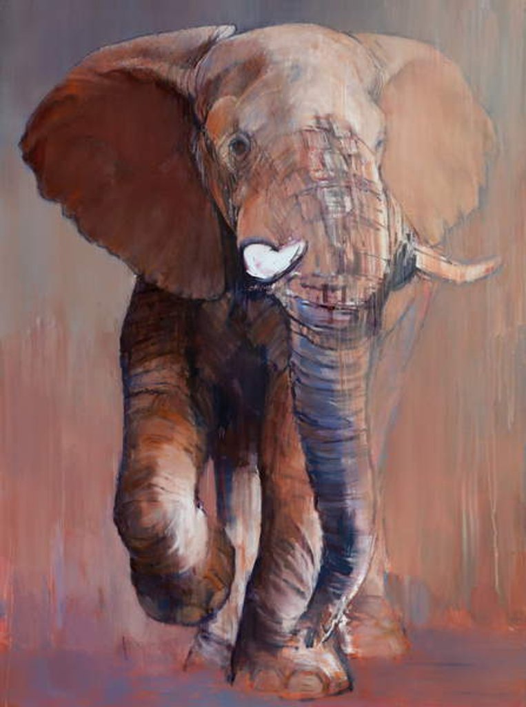 Detail of Loisaba Bull, 2018 by Mark Adlington