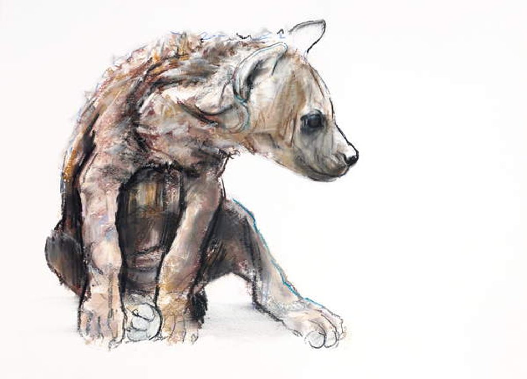 Detail of Hyaena Pup, 2019 by Mark Adlington