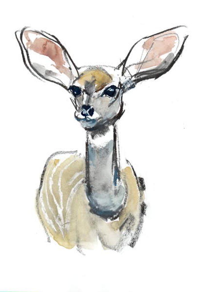 Detail of Kudu Fawn, Sarara, 2018 by Mark Adlington