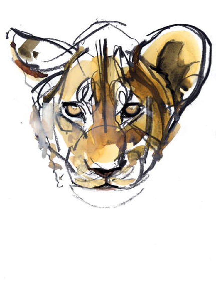 Detail of Yellow Cub, 2019 by Mark Adlington