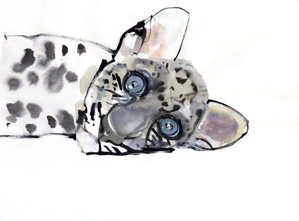 Detail of Arabian Leopard, 2008 by Mark Adlington