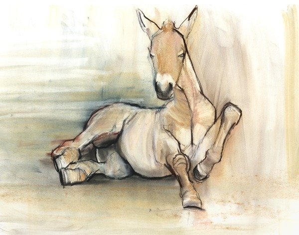 Detail of Foal, 2012, by Mark Adlington