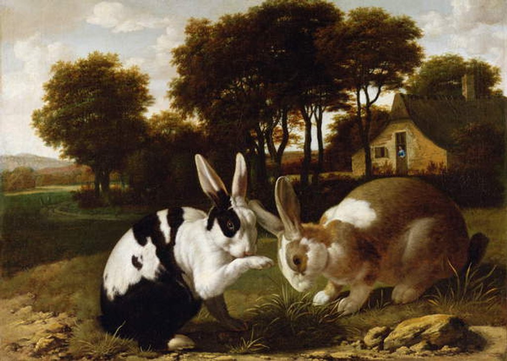 Detail of Two Rabbits in a Landscape, c.1650 by Haarlem School