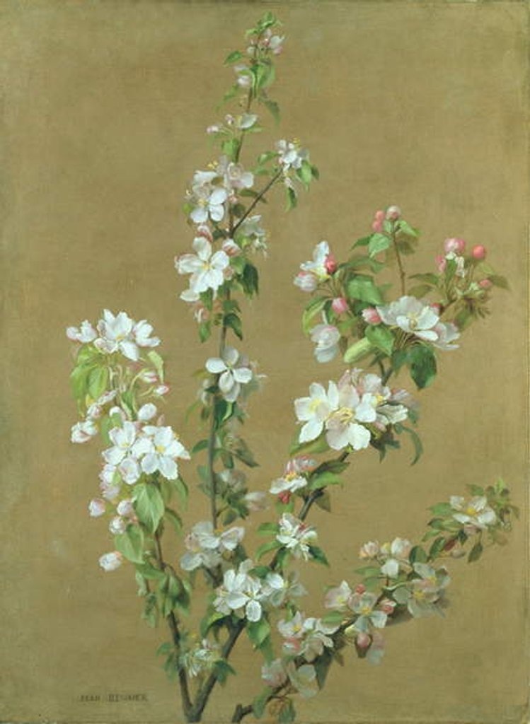 Detail of Apple Blossom by Jean Benner