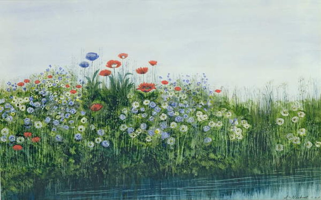 Detail of Poppies by a Stream by Andrew Nicholl