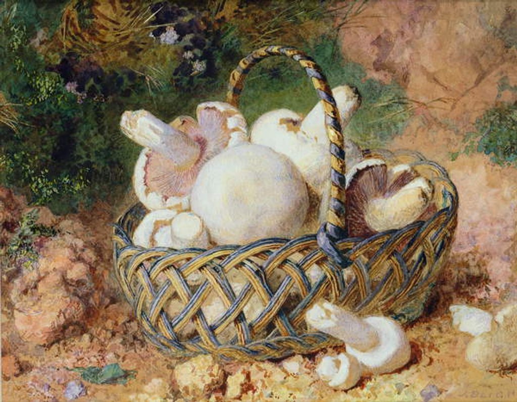Detail of A Basket of Mushrooms, 1871 by Jabez Bligh