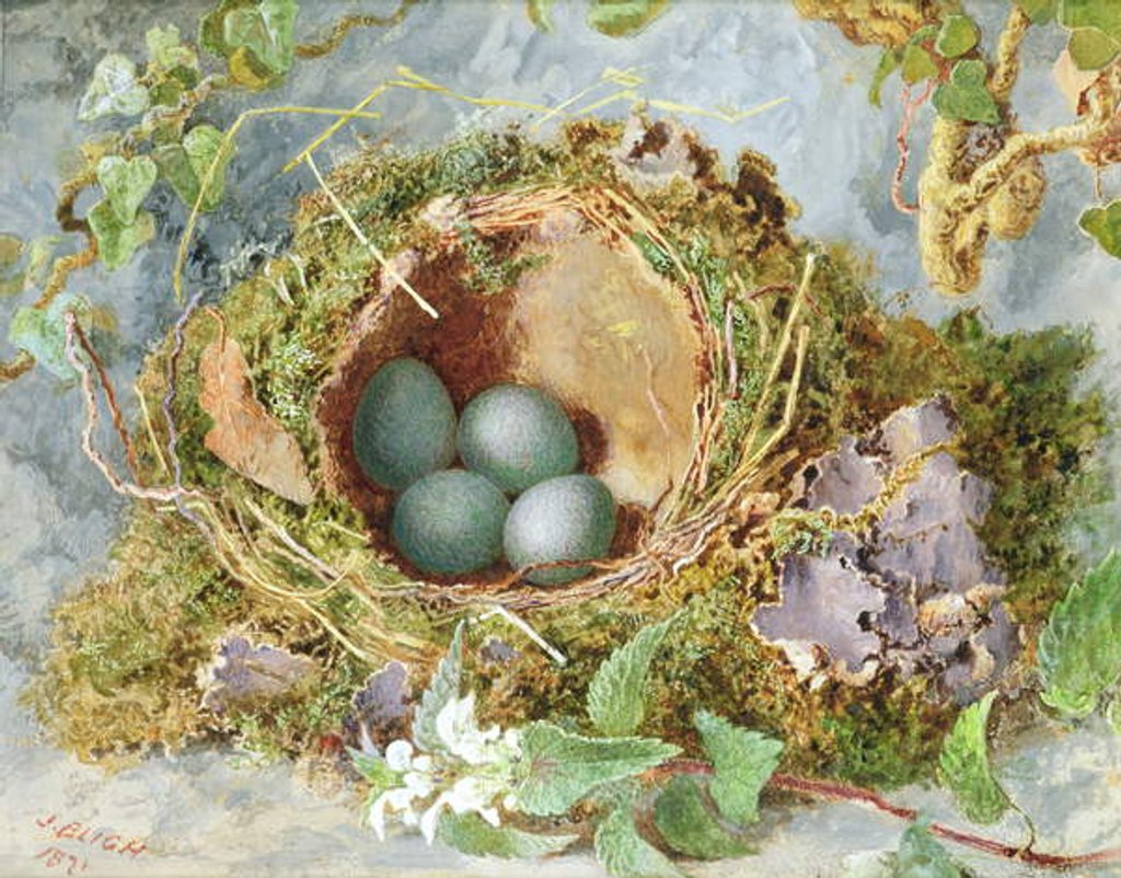 Detail of A Nest of Eggs, 1871 by Jabez Bligh