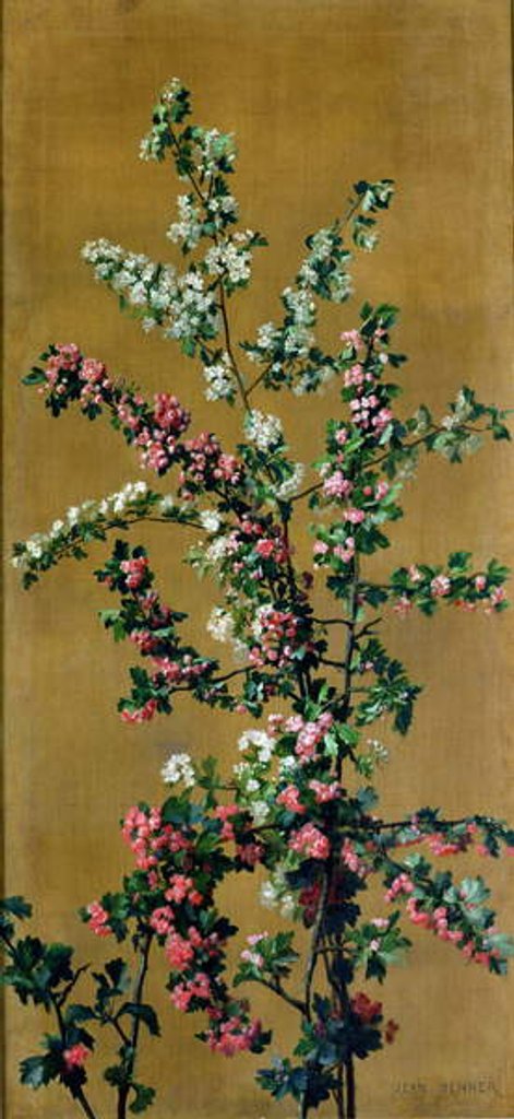Detail of Japanese Cherry Tree and Hawthorn Branches by Jean Benner