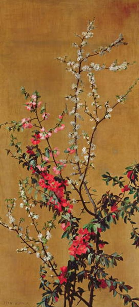 Detail of Japanese Cherry Tree and Hawthorn Branches by Jean Benner
