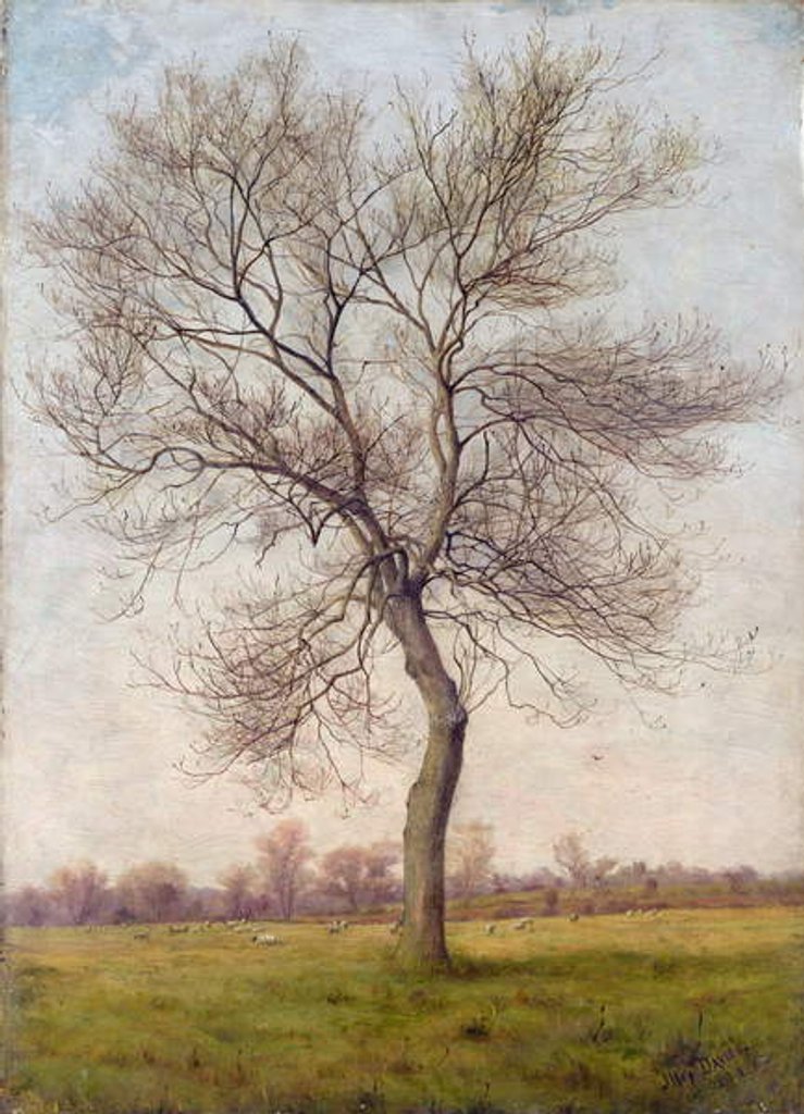 Detail of Study of an Ash Tree in Winter, 1883 by James Hey Davies
