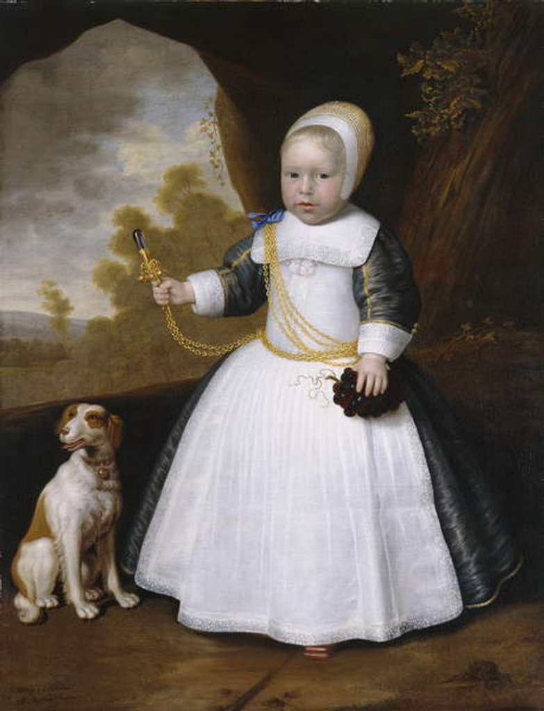 Detail of Portrait of a Boy with a Dog, 1660 by Jan Albertsz Rootius