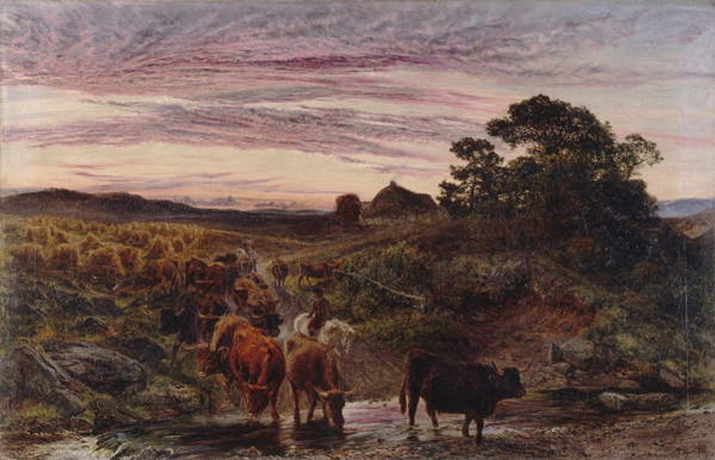 Detail of Cattle Fording a Stream, 1862 by Henry Moore