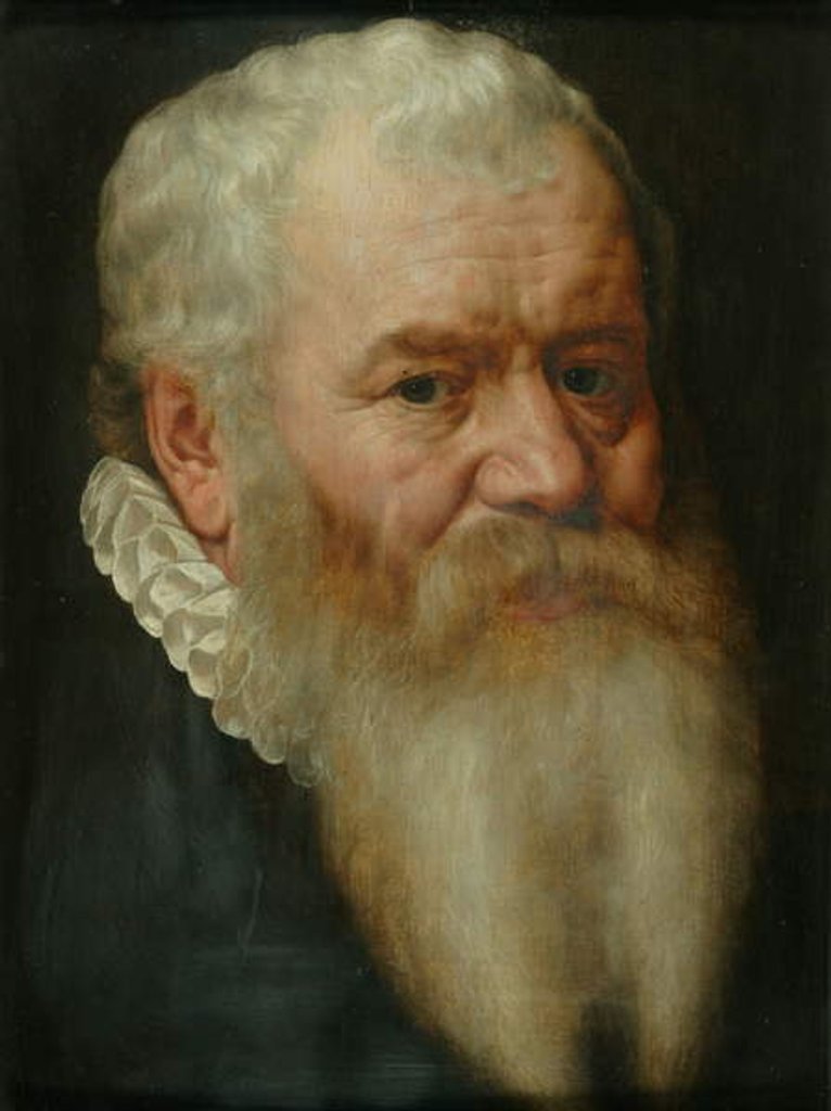 Detail of Portrait of Hubert Languet, 1580 by Frans I Pourbus