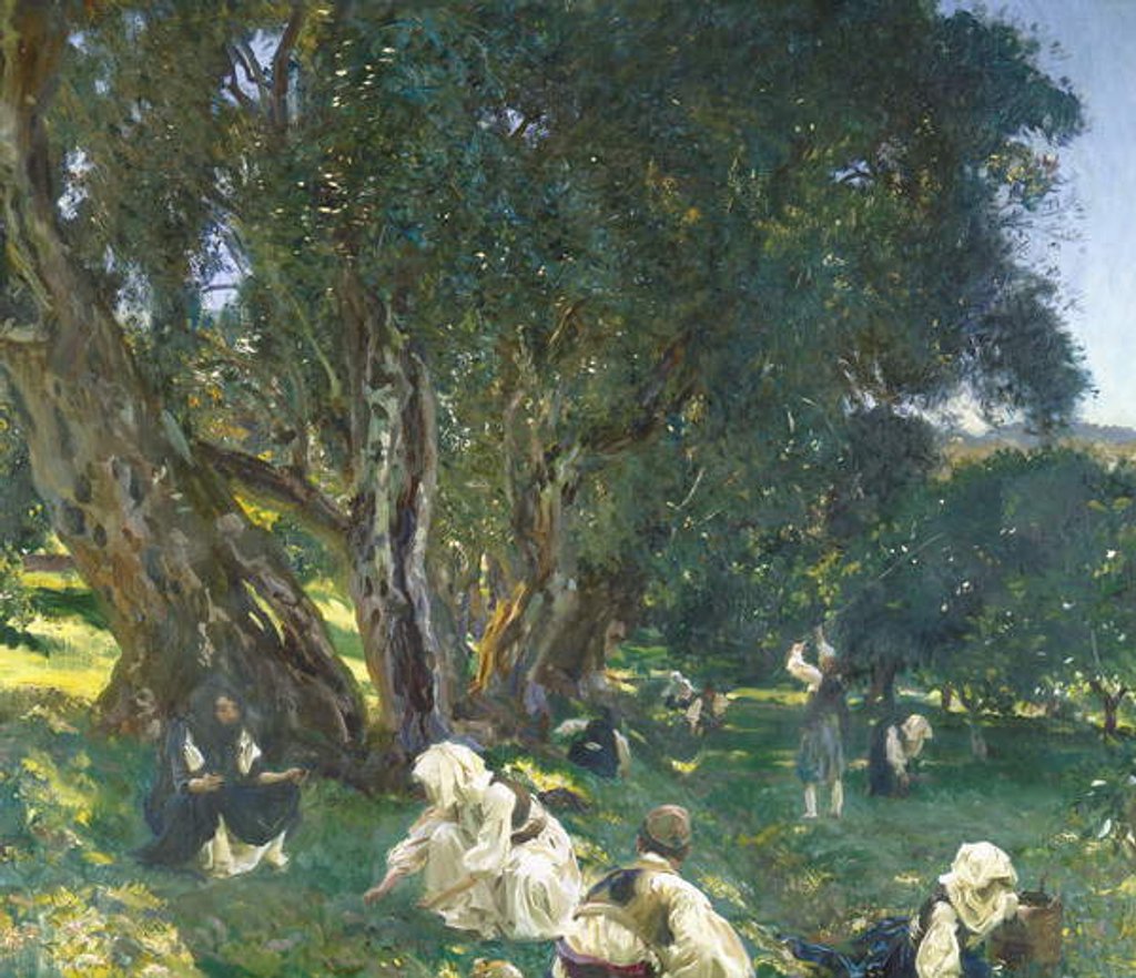 Detail of Albanian Olive Gatherers, 1909 by John Singer Sargent