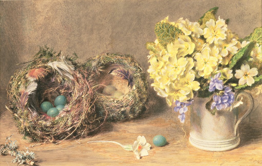 Detail of Spring Flowers and Birds' Nests, c.1830 by William Henry Hunt
