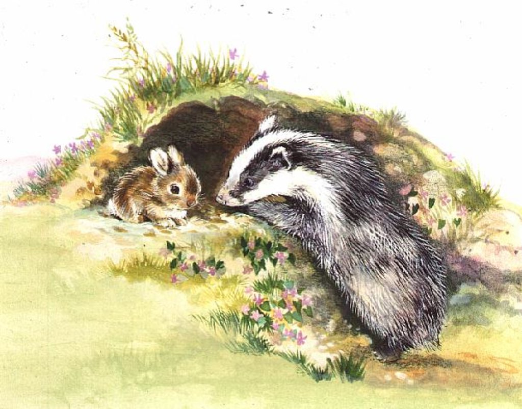 Detail of Badger and a Rabbit by Diane Matthes