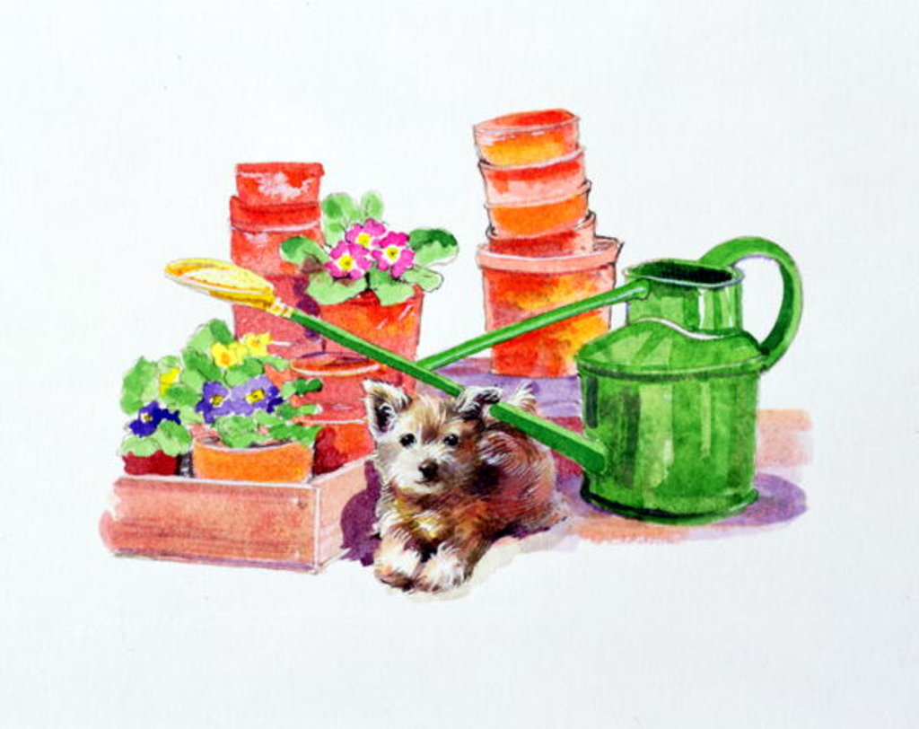 Detail of Terrier amongst Terracotta Pots by Diane Matthes