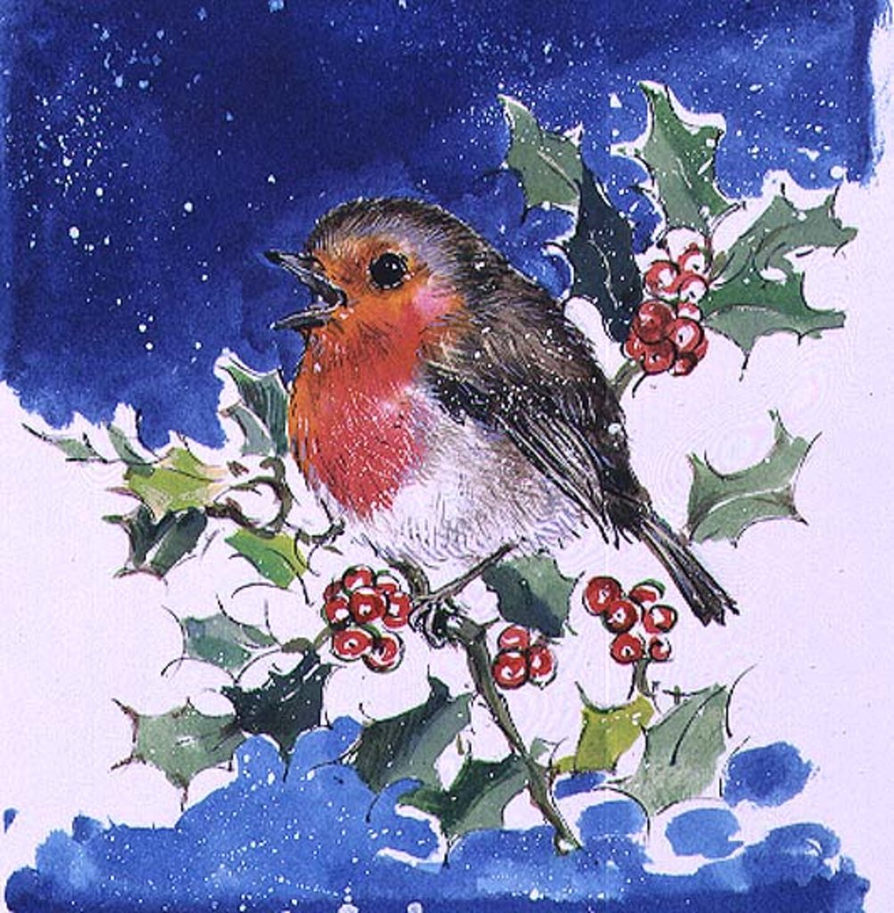 Detail of Robin Red-breast, 1996 by Diane Matthes
