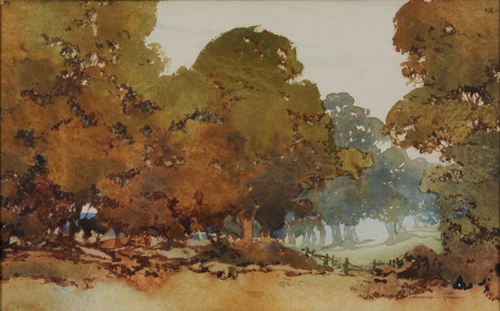 Detail of Gum trees by William Blamire Young