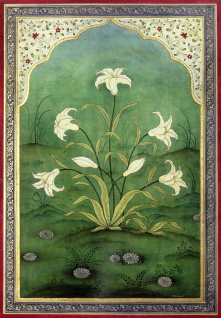 Detail of White Lilies by Mark Briscoe