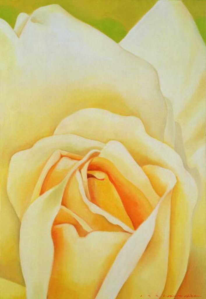 Detail of The Rose, 1995 by Myung-Bo Sim