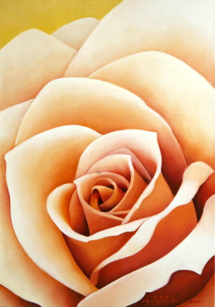 Detail of The Rose, 2003 by Myung-Bo Sim