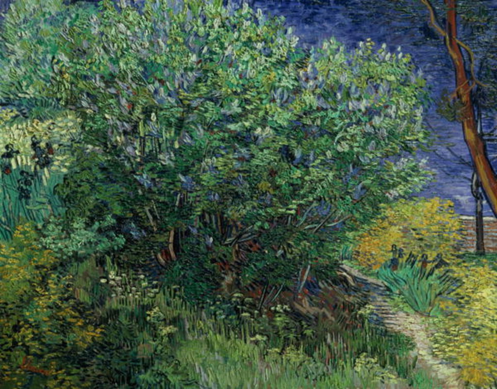 Detail of Lilac Bush, 1889 by Vincent van Gogh