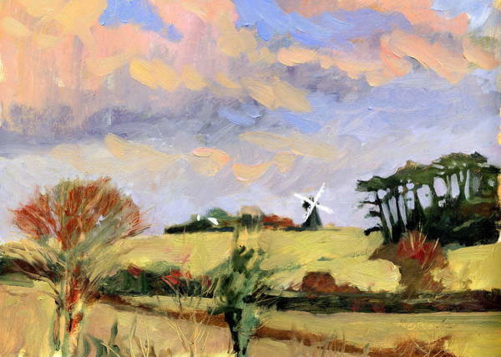 Detail of Evening Windmill, 2007 by Clive Metcalfe