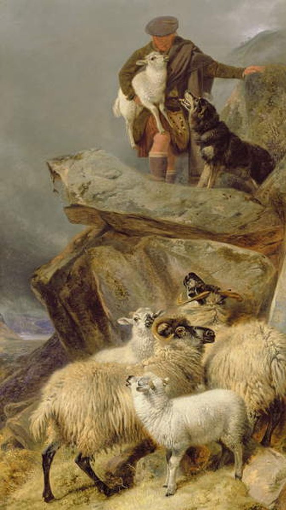 Detail of The Rescue, 1883 by Richard Ansdell