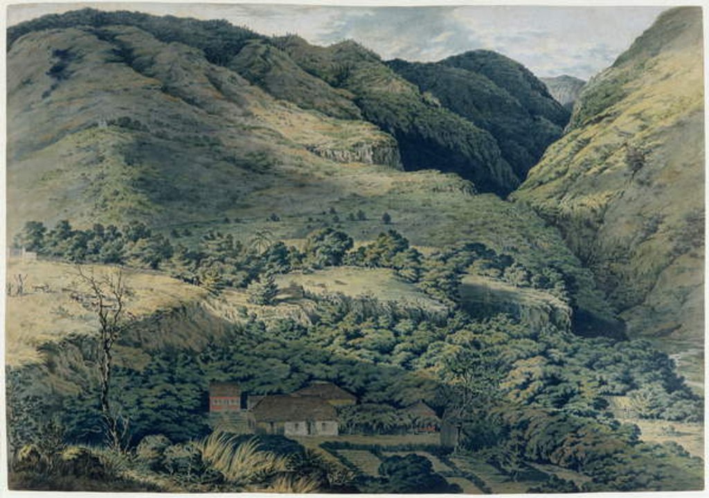 Detail of Ravine and River at St. Denis, Bourbon, 1814 by T. Bradshaw
