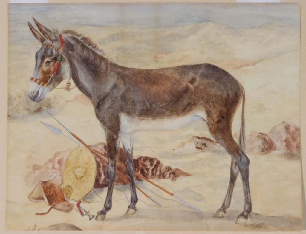 Detail of Mule by English School