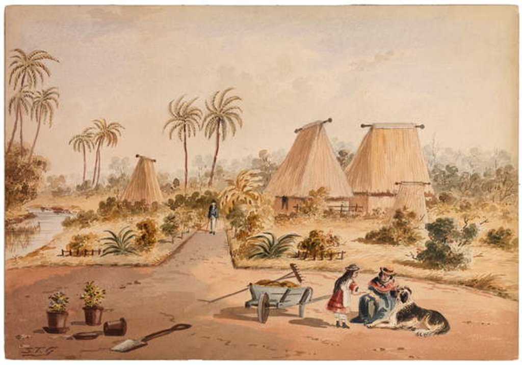 Detail of The Homestead, Savu Bay, Fiji, 1870 by Samuel Thomas Gill