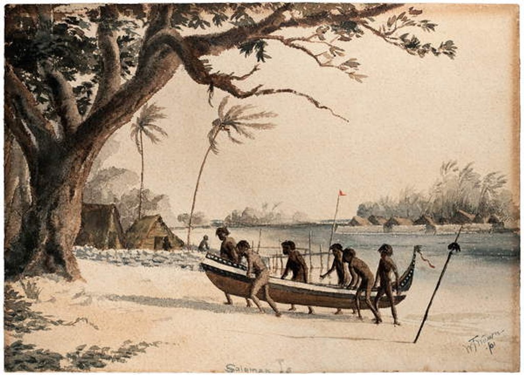 Detail of Solomon Islands, 1901 by William Twizell Wawn