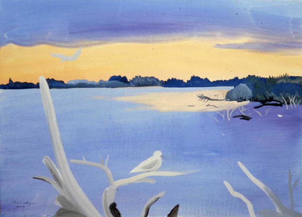 Detail of Le Rhone au Gabian, 1987 by Marie Hugo