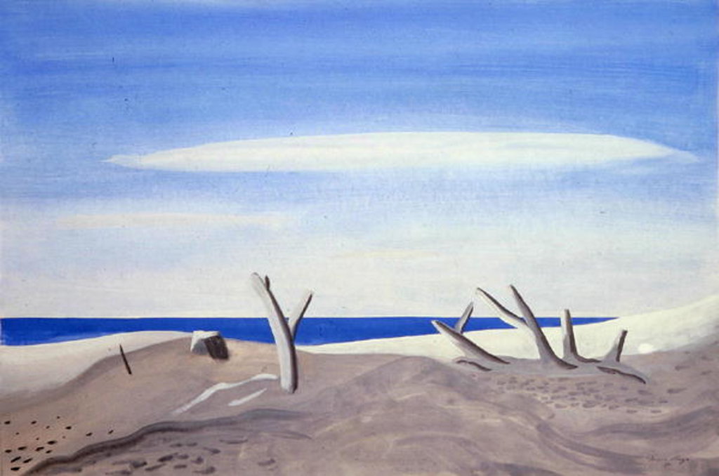 Detail of Bois Flottes du Grand Radeau, 1987 by Marie Hugo