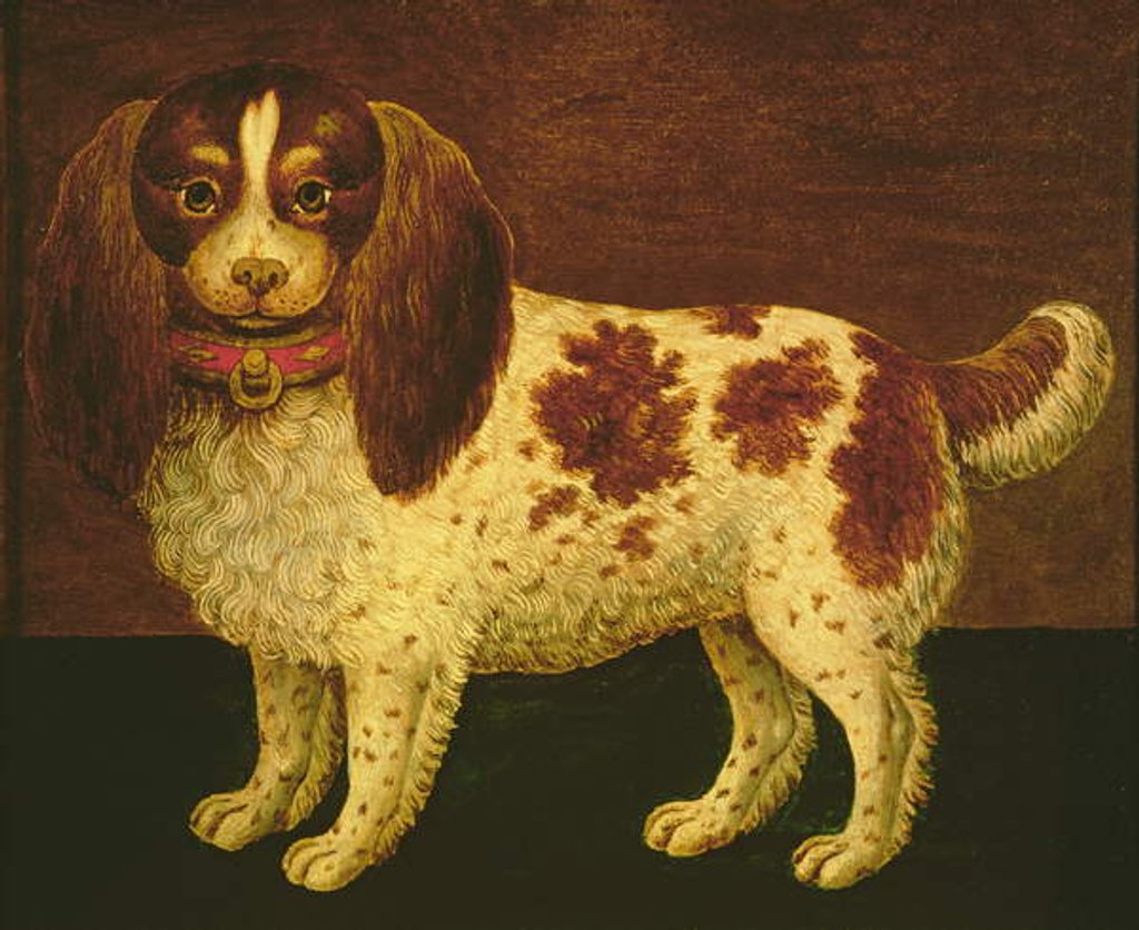 Detail of A Spaniel by English School