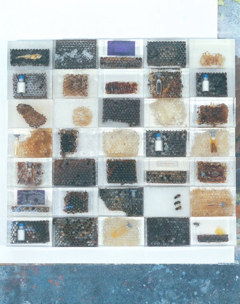 Detail of Bee resin casts by Charlie Millar